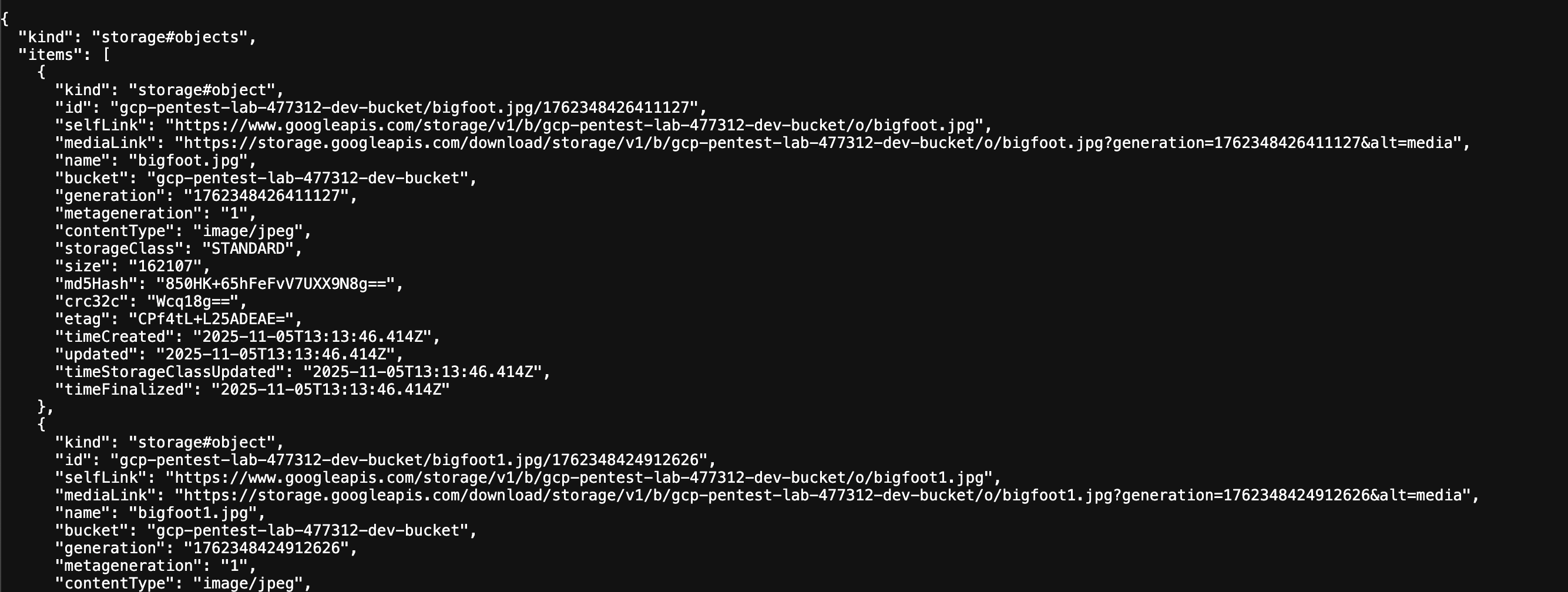 flag1 list objects in dev bucket