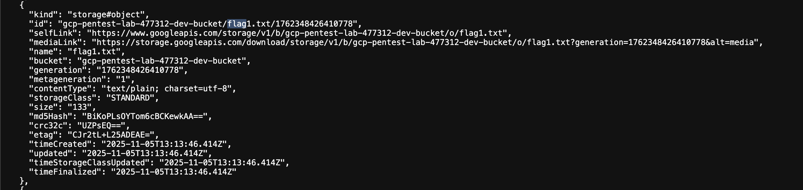 flag1 file in bucket