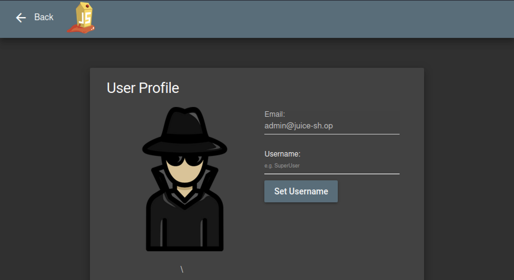 Admin profile access