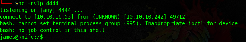 Netcat reverse shell