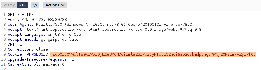 Burp Suite request